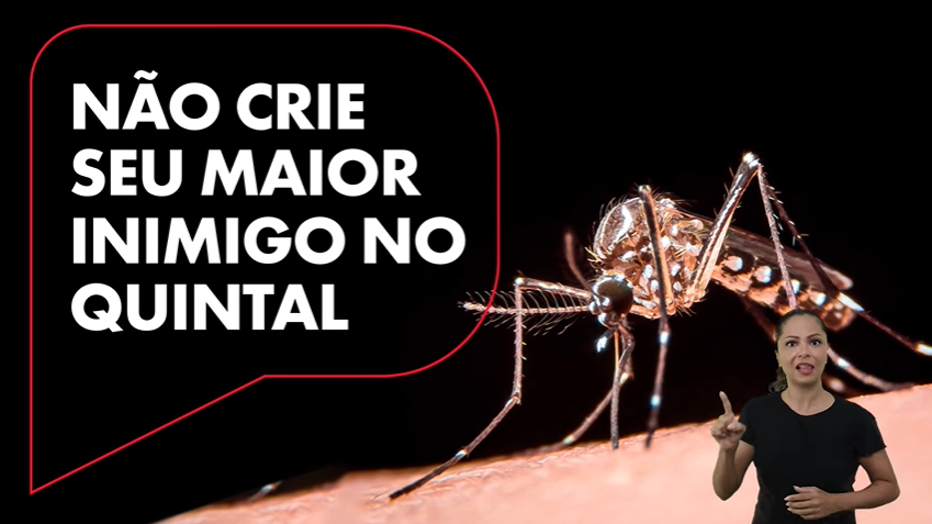 Campanha em SP alerta contra mosquito da dengue: 'qual o animal mais  perigoso do mundo? | Governo do Estado de São Paulo