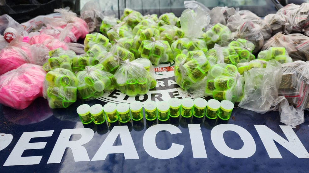 Drogas apreendidas estavam escondidas em cupinzeiro de Limeira, segundo a Guarda — Foto: Wagner Morente/Guarda Municipal de Limeira 
