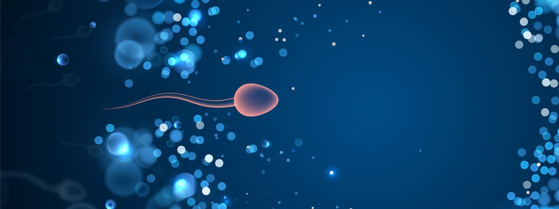 Imagem de: Espermatozoides estão quebrando a 3º Lei de Newton, diz estudo