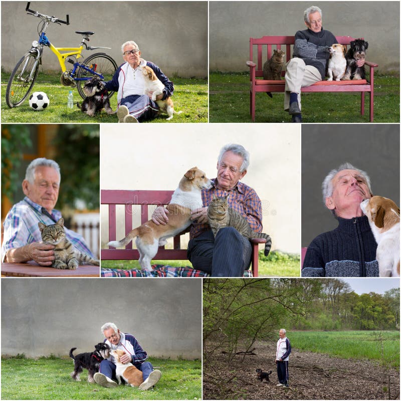 Ancião Com Seus Animais De Estimação Imagem de Stock - Imagem de gato,  cuidado: 35282733