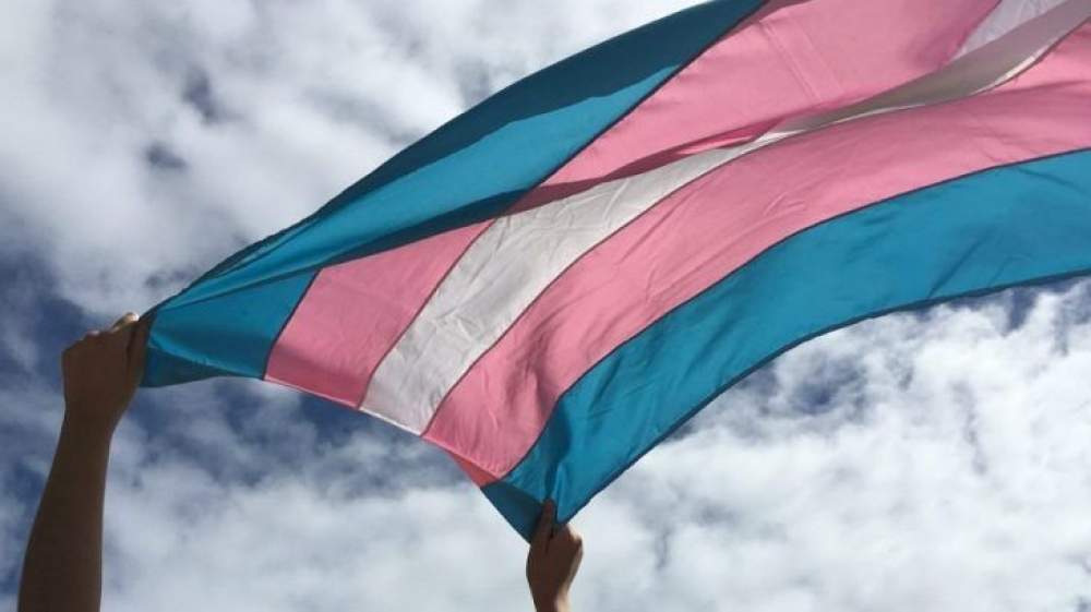 Dia da Visibilidade Trans mostra que a luta por direitos e a resistência em  se manter vivo acontece 365 dias no ano - Hojemais de Três Lagoas MS