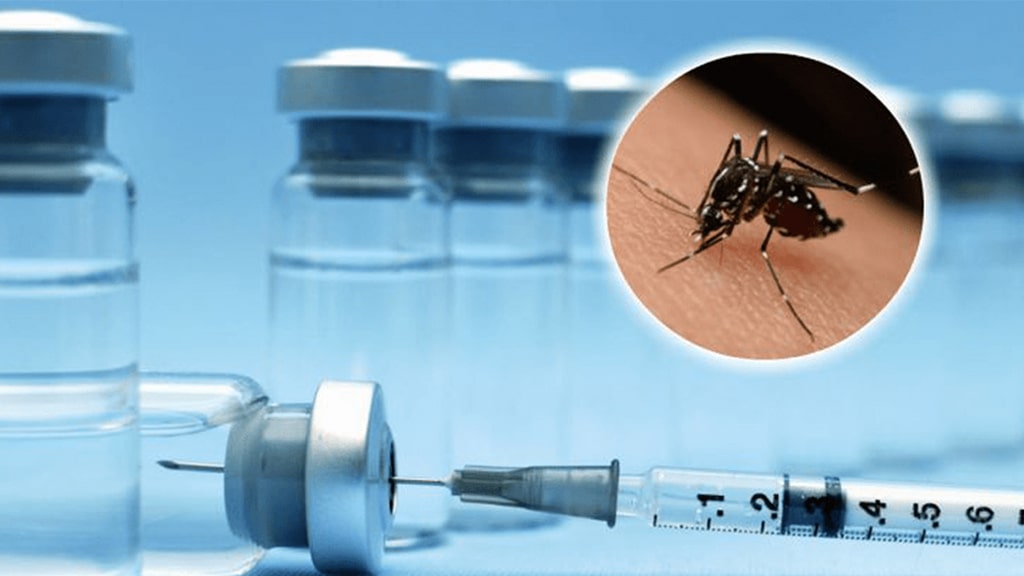 Nova vacina contra dengue- Sincofarma SP
