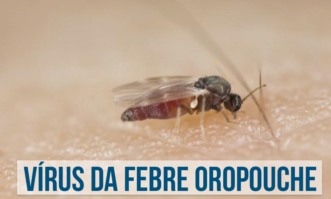 Vírus de Febre Oropouche | Labclass Hermes Pardini