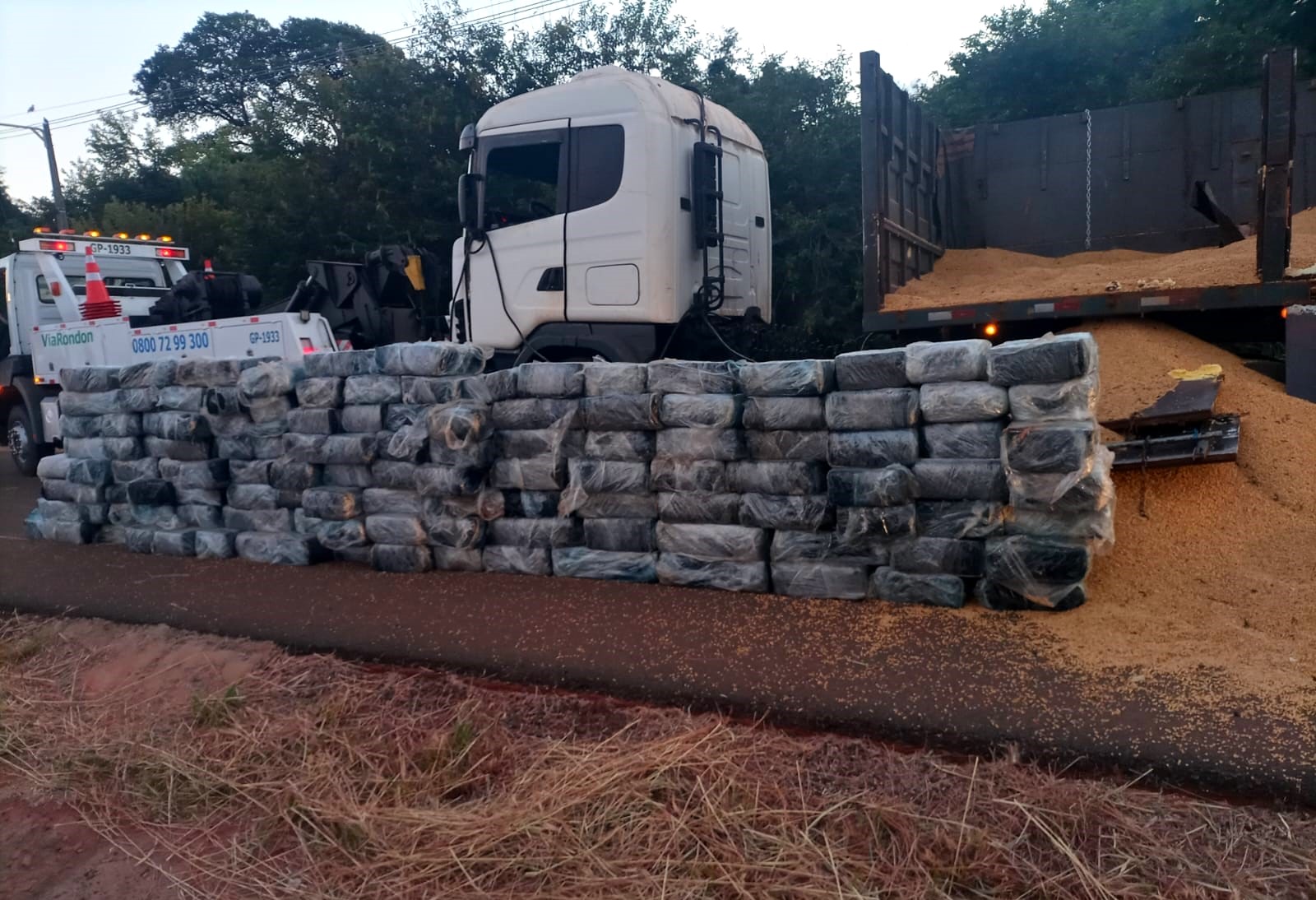Polícia apreende quase 3 toneladas de maconha em carga de soja em Andradina