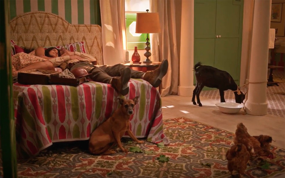 Família Leonel se muda com todos os seus animais para o Hotel São Petersburgo em No Rancho Fundo — Foto: Globo