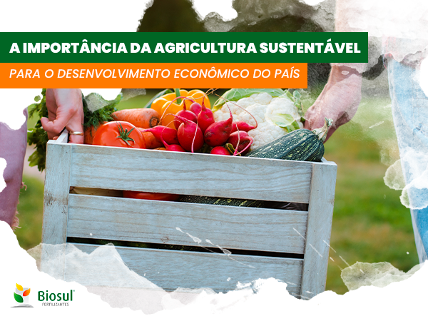A importância da agricultura sustentável para o desenvolvimento econômico do país | Biosul Fertilizantes - (54) 3231-7600 - Vacaria/RS
